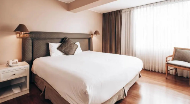 Двухместный полулюкс Suites del Bosque Hotel