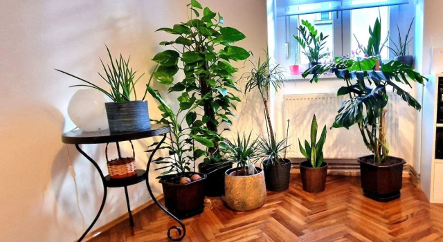 Апартаменты c 1 комнатой с видом на город Charming 50m2 Apartment in Zagreb City Center