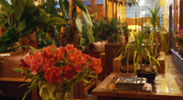 Hotel Posada El Paraíso, Забронировать Отель Сан-Кристобаль-де-лас-Касас Чьяпас, рядом с Central Plaza &amp; Park