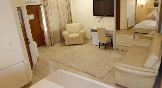 Номер Standard Pension Cuibul Viselor