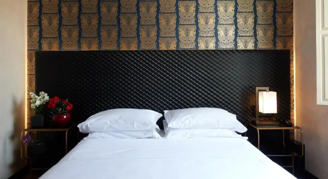 Двухместный номер Deluxe Hotel Verdi Boutique Hotel