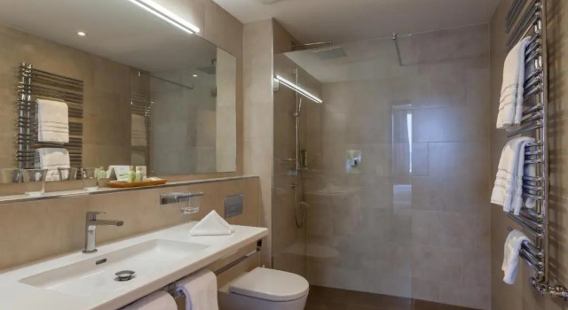 Двухместный номер Standard с видом на озеро Hotel Waldhaus am See