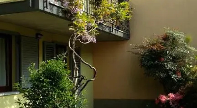 B&B Lake Como Cottage