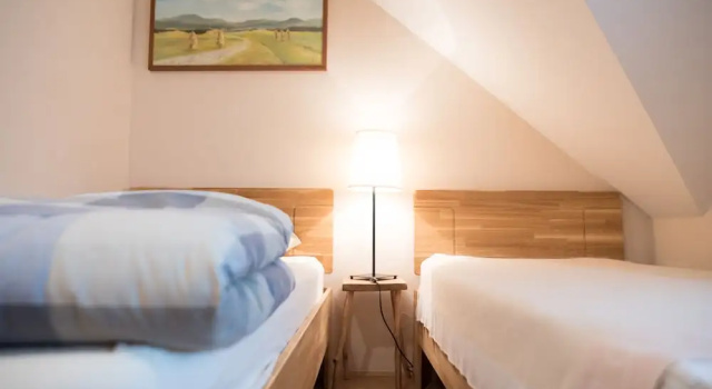 Двухместный номер Deluxe Bed & Breakfast Dvorec
