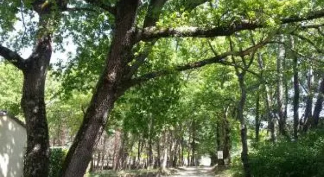 Camping Parc Saint Sauvayre, 预订 露营地 Vagnas Ardèche