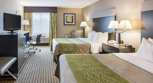 Четырёхместный номер Standard Comfort Inn Camden