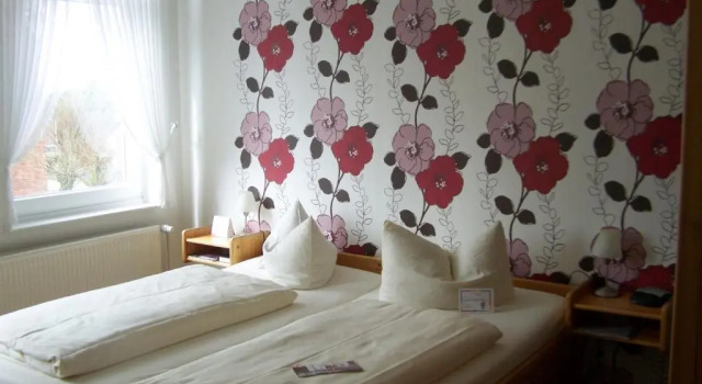 Двухместный номер Standard Hotel Zur Linde