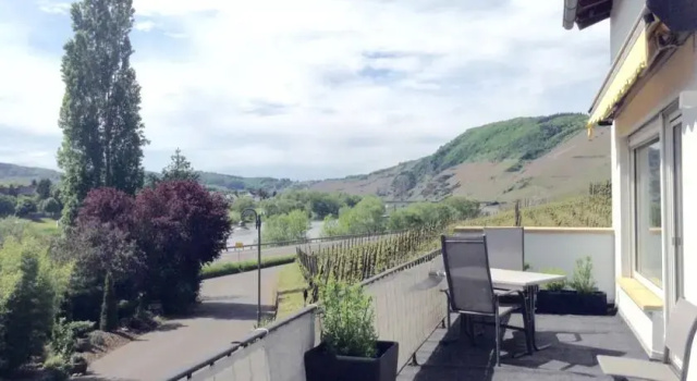 Traumhafte Wohnung mit Moselblick