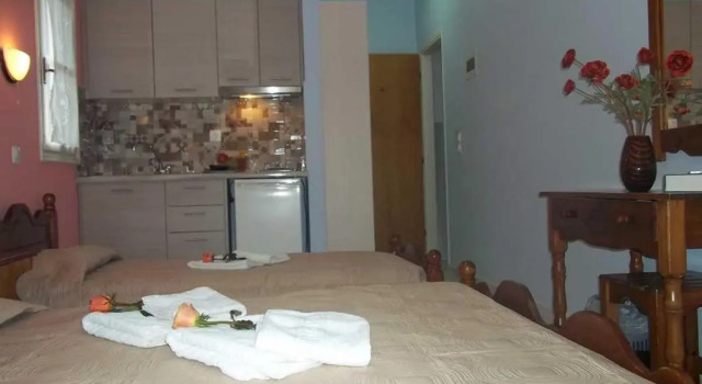 Апартаменты c 1 комнатой Zois Apartments