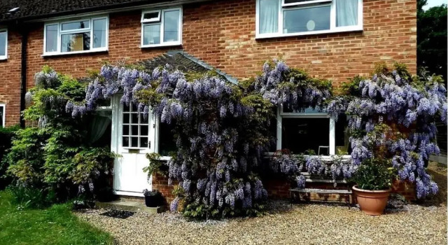 UPTHEDOWNS B&B, Забронировать Отель «постель и завтрак» Севенокс Kent Downs