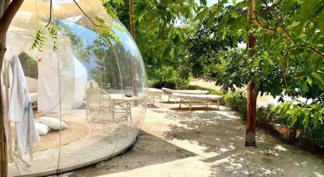Люкс Rock and Sea Resort