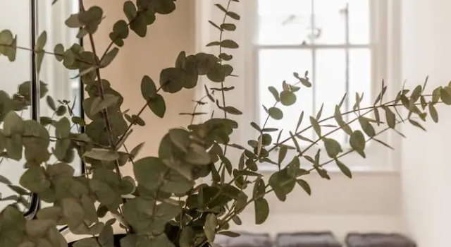 Апартаменты Eson2 - Charming 3 Bedroom Flat in Chelsea