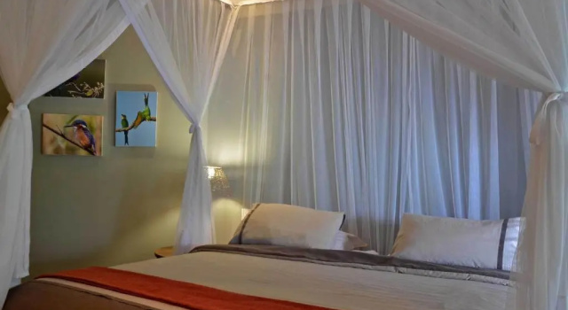 Двухместный номер Standard Tingala Lodge