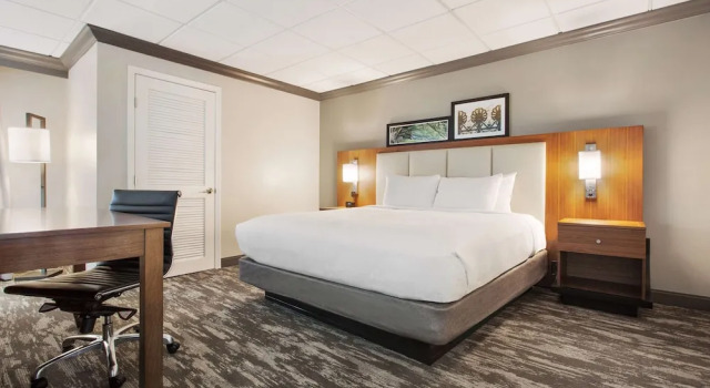 Номер Deluxe DoubleTree by Hilton New Orleans