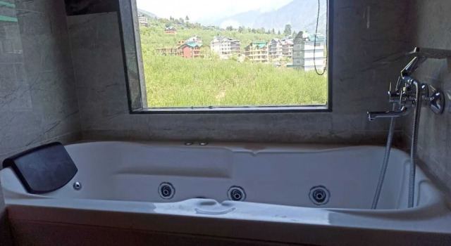 Номер Superior Misty Mountains Manali