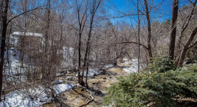 Студия Apple Creek Cottages