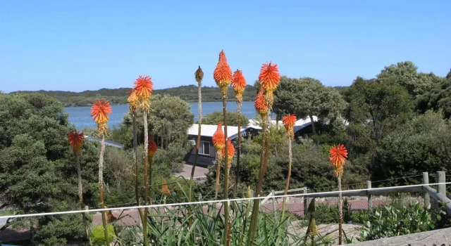 Студия BIG4 Robe Lakeside Tourist Park