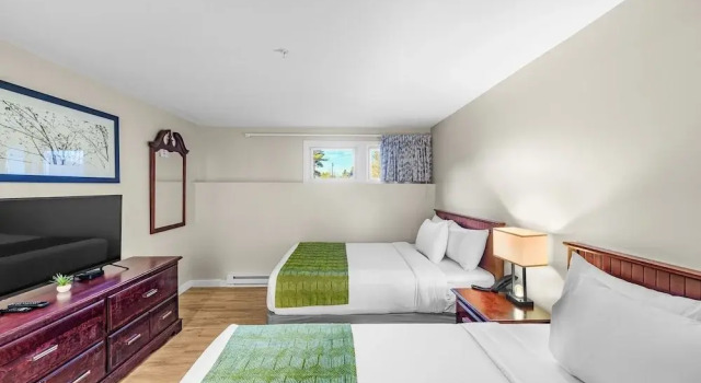 Номер Economy Grey Bonnet Inn
