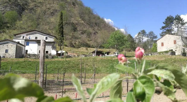Апартаменты c 1 комнатой Agriturismo di là dallAcqua