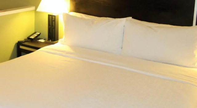 Номер Standard Holiday Inn Express Berkeley by IHG