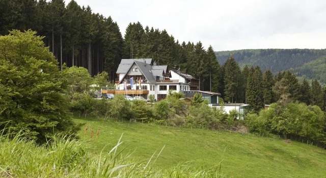 Двухместный номер Standard Wald Hotel Willingen
