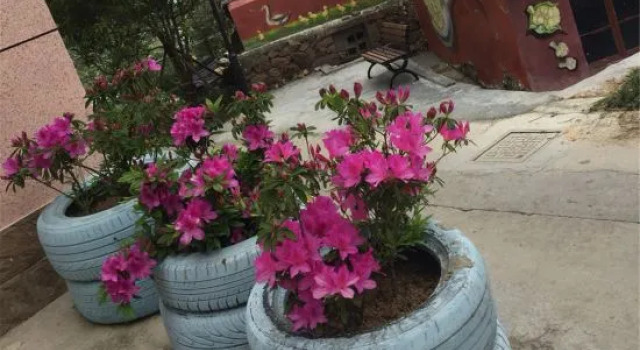 Wenzhou Sea Day Homestay, Prenota Hotel Wenzhou Zhejiang