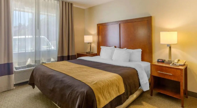 Номер Standard Comfort Inn Red Horse Frederick