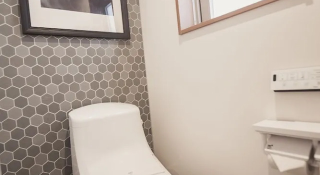 Люкс Superior Moonoka Hotel Ginza