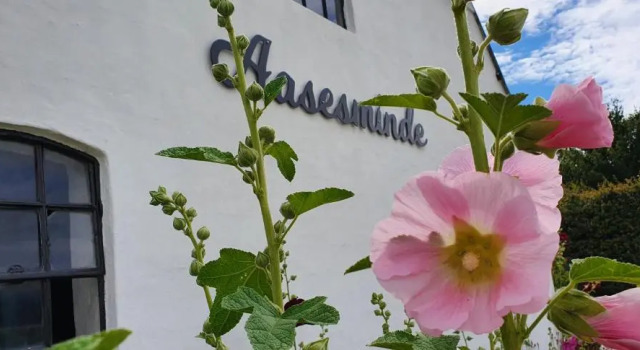 Aasesminde, Book Hotel 3-Star Hotels in Funen, 3*
