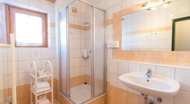 Номер Standard Aparthotel Ederhof