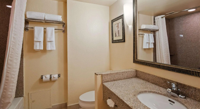 Двухместный номер Executive Best Western Plus Hotel & Conference Center