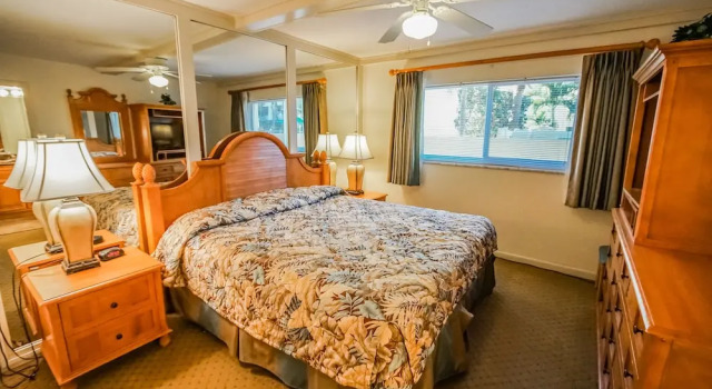 Номер Standard c 1 комнатой с видом на бассейн Coral Reef Resort