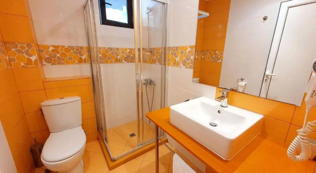 Двухместный номер Standard Family Hotel Chiflik Hills