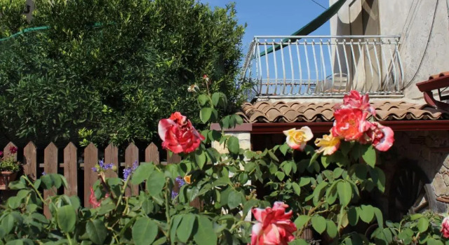 Номер Standard B&B La Vigna