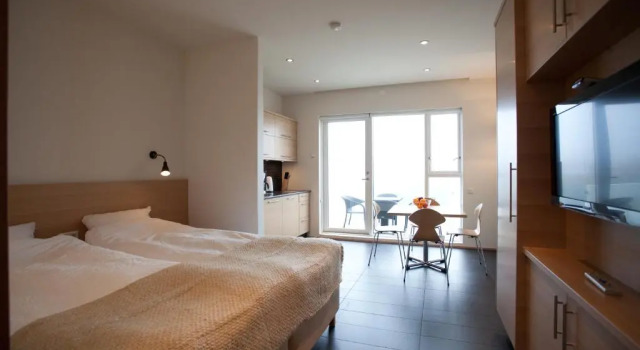Студия Saeluhus Apartments & Houses