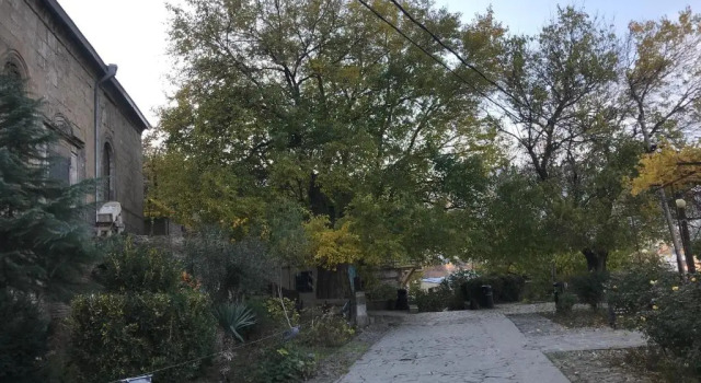 Bethlehem Terrace