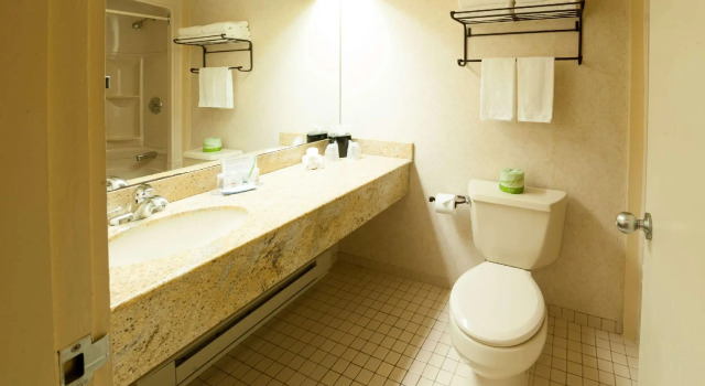 Четырёхместный номер Standard Pinestone Resort & Conference Centre