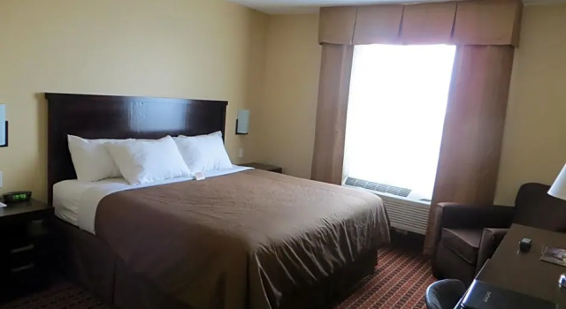 Standart çift kişilik oda Poplar Tree Inn