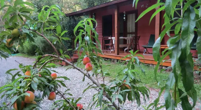 Вилла Cabañas Del Potrero
