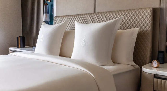 Двухместный номер Deluxe Four Seasons Hotel Riyadh