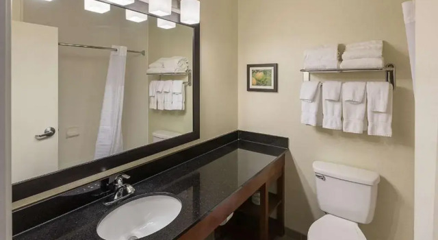 Люкс Comfort Suites Saginaw North