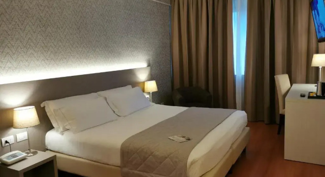 Двухместный номер Superior Hotel President