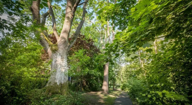 Коттедж Gutshof Falkenhagen