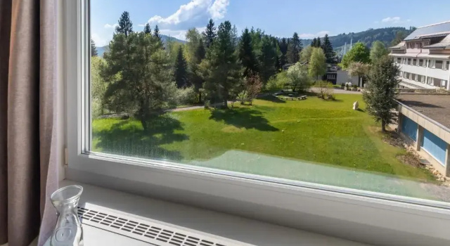 Номер Standard Hotel Allegro Einsiedeln