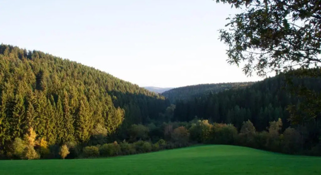 Landgasthof Hof Roscheid, Забронировать Отель Аттендорн Зауэрланд