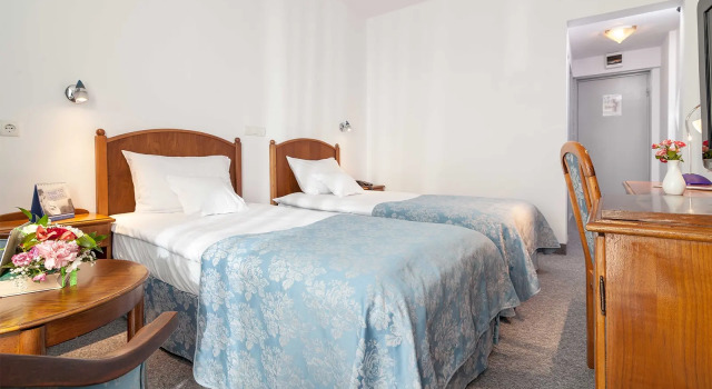 Standard Kahden hengen huone Continental Suceava