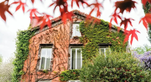 Quinta do Ameal, Забронировать Отель СПА-отели Понте-де-Лима, SPA-услуги