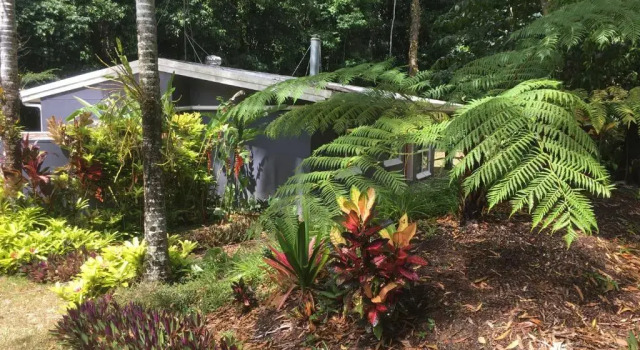 Коттедж Honeybee House Cottage in the Rainforest