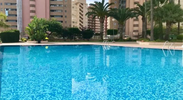 Paraiso 10 Blueline