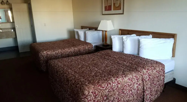 Standard Vierer Zimmer Sahara Inn